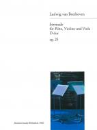 Serenade op. 25 