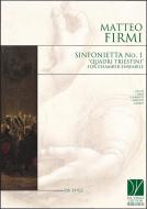 Sinfonietta No. 1 'Quadri Triestini' 