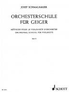 Orchestral School for Violinists 