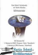 Schwanensee 