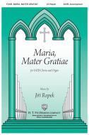 Maria, Mater Gratiae Standard