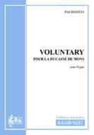 Voluntary pour la Ducasse de Mons 