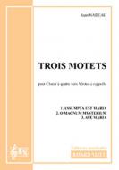 3 motets 