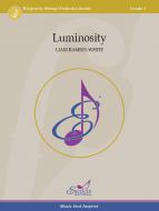 Luminosity Standard