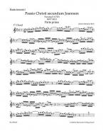 St. John Passion "O Mensch, bewein" BWV 245.2 