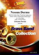 Nessun Dorma Standard