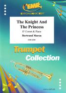 The Knight And The Princess Standard