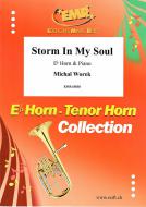 Storm In My Soul Standard