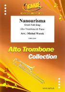 Nanourisma Standard