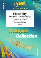 Flexibility Standard