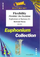 Flexibility Download
