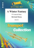 A Winter Fantasy Download