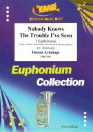 Nobody Knows The Trouble I've Seen Download