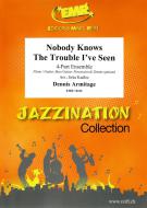 Nobody Knows The Trouble I've Seen Download