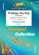 Walking The Dog Download