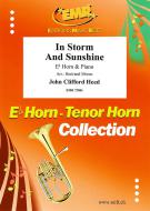 In Storm And Sunshine Download