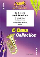 In Storm And Sunshine Download