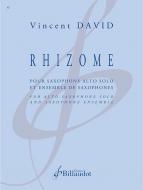 Rhizome 