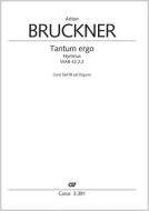 Tantum ergo in D major WAB 42 Standard