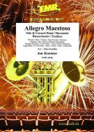 Allegro Maestoso Standard
