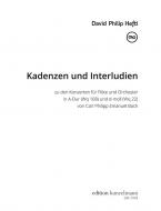 Cadenzas and Interludes 