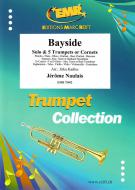 Bayside Standard