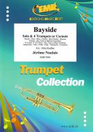 Bayside Download