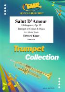 Salut D'Amour op. 12 Download