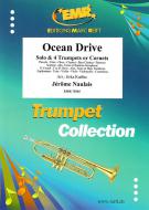 Ocean Drive Standard