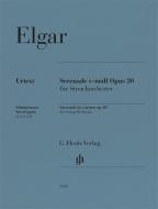 Serenade in e minor op. 20 - Set of Parts 