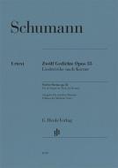 Twelve Poems op. 35 -  Set of Songs on Texts by Kerner 