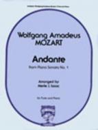 Andante from the Piano Sonata No. 1 