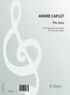 Pie Jesu for voice and organ 