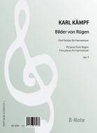 Pictures from Rügen for Harmonium op.4 