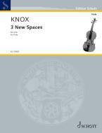 3 New Spaces Standard