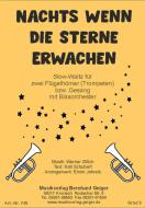 Nachts wenn die Sterne erwachen 