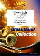 Elektrisch RV 901 Standard