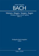 Weinen, Klagen, Sorgen, Zagen Download