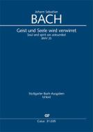 Soul and spirit are astounded BWV 35 Download