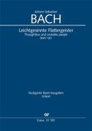 Leichtgesinnte Flattergeister Download