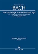 The merry chase, the hunt is my delight BWV 208 Download
