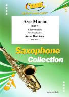Ave Maria WAB 7 Standard