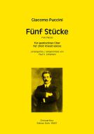 Fünf Stücke 
