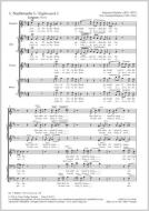 Nightwatch 1 Standard