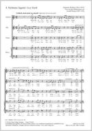 Lost Youth Standard