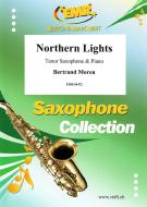Northern Lights Standard