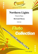 Northern Lights Download