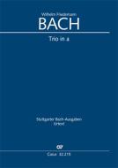 Trio in a-Moll (Fk 49) Download