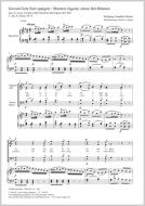 Giovani lieti fiori spargete (Muntere Jugend, streue ihm Blumen) Download