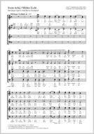 Svete tichij Download